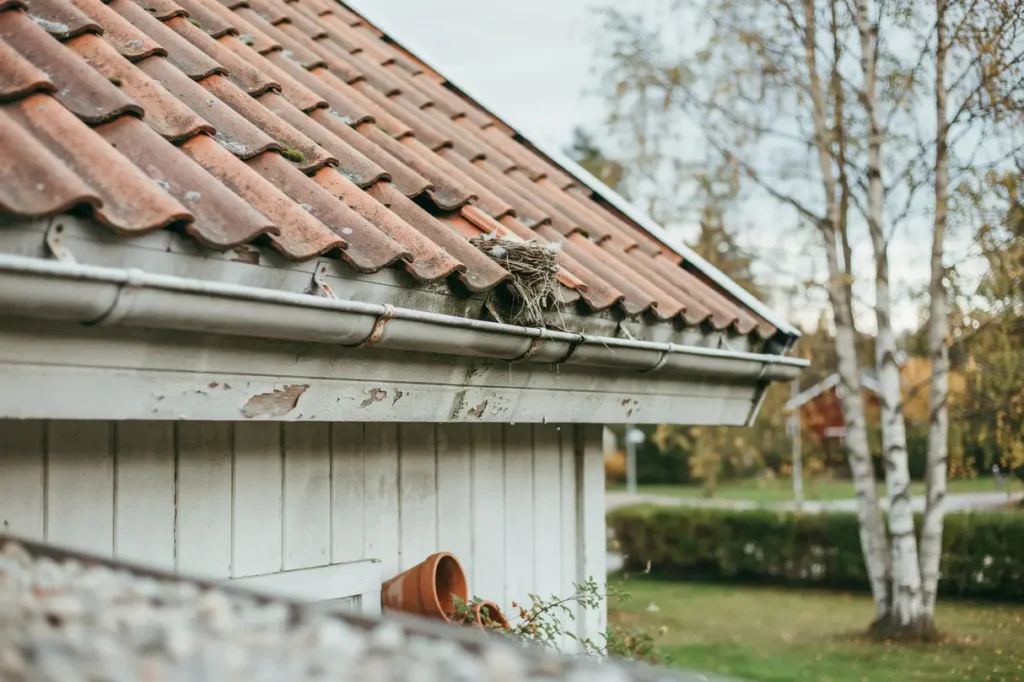 f gelbon under takpannorna s skyddar du taket mot skador och stopp i ventilationen